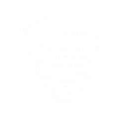 CINDERELLA PROJECT2020